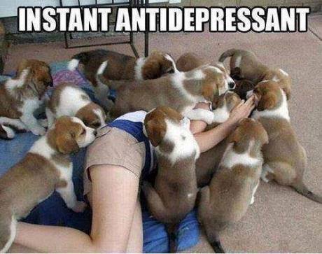 instant antidepression